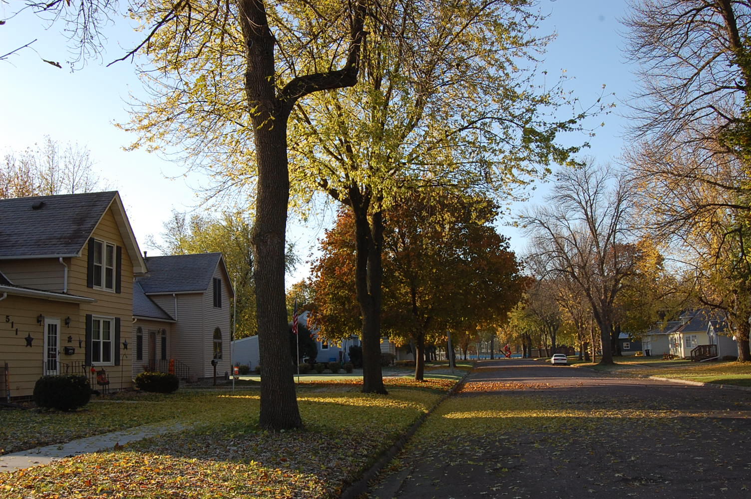 Wells Minnesota City Living LandCentral