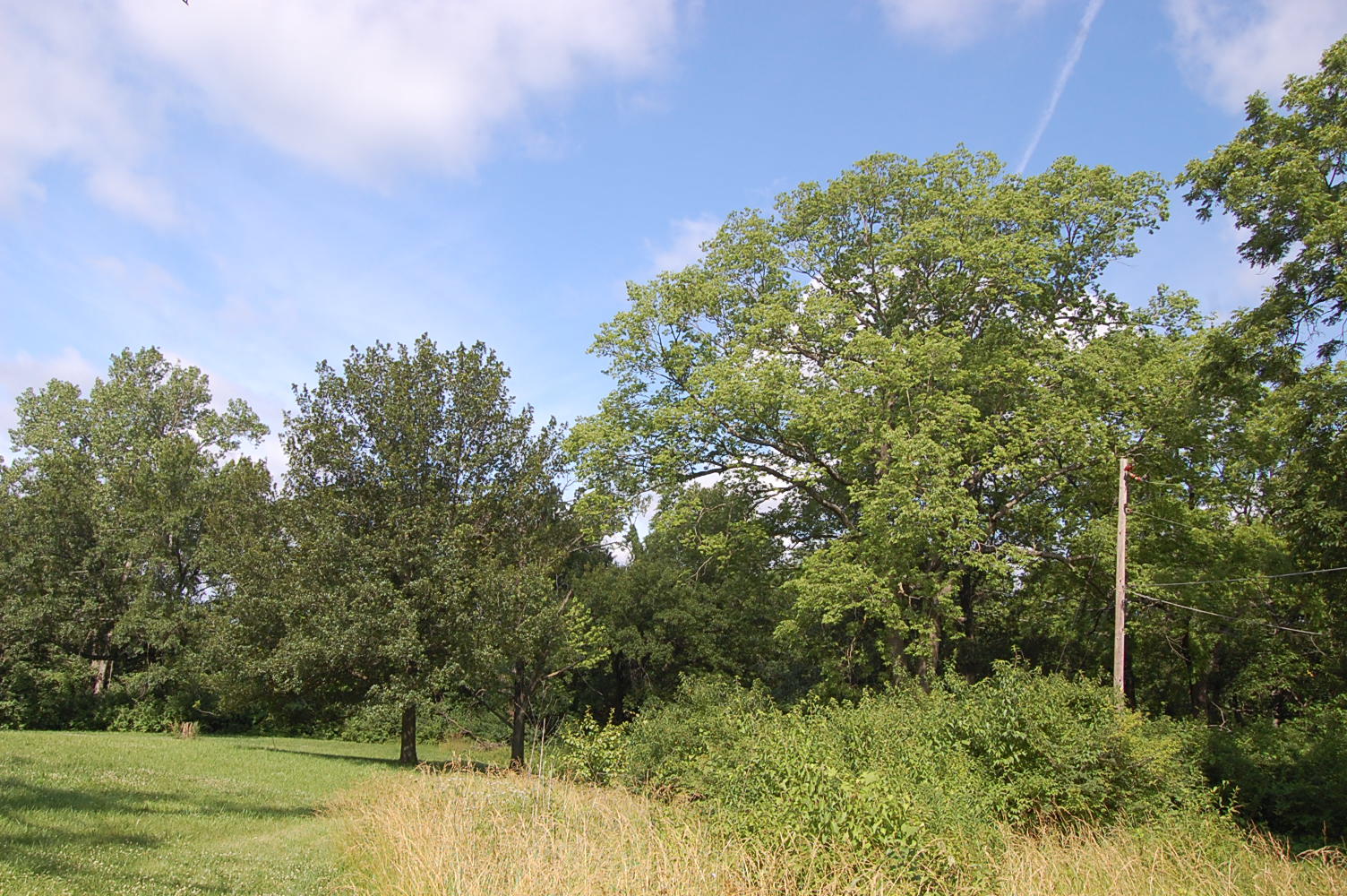 Nearly an Acre on the Edge of Kansas City LandCentral