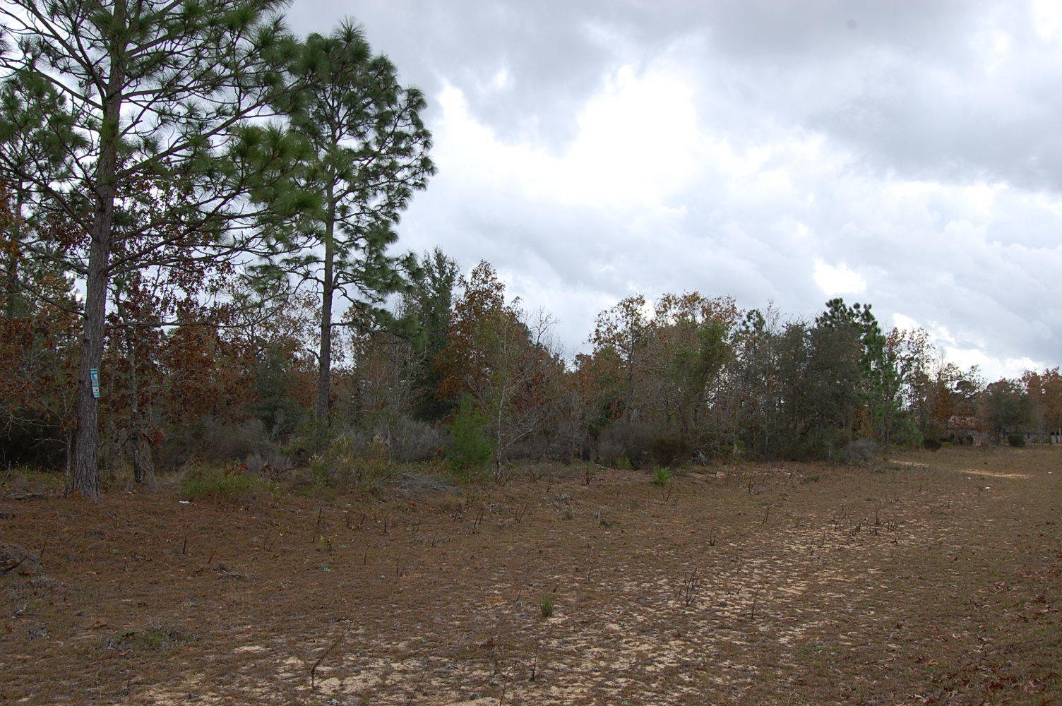 Interlachen Florida Waterfront Homesite LandCentral