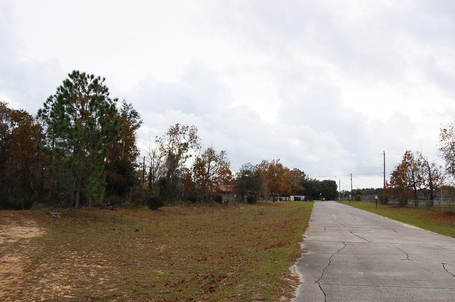 Interlachen Florida Family Friendly Homesite LandCentral