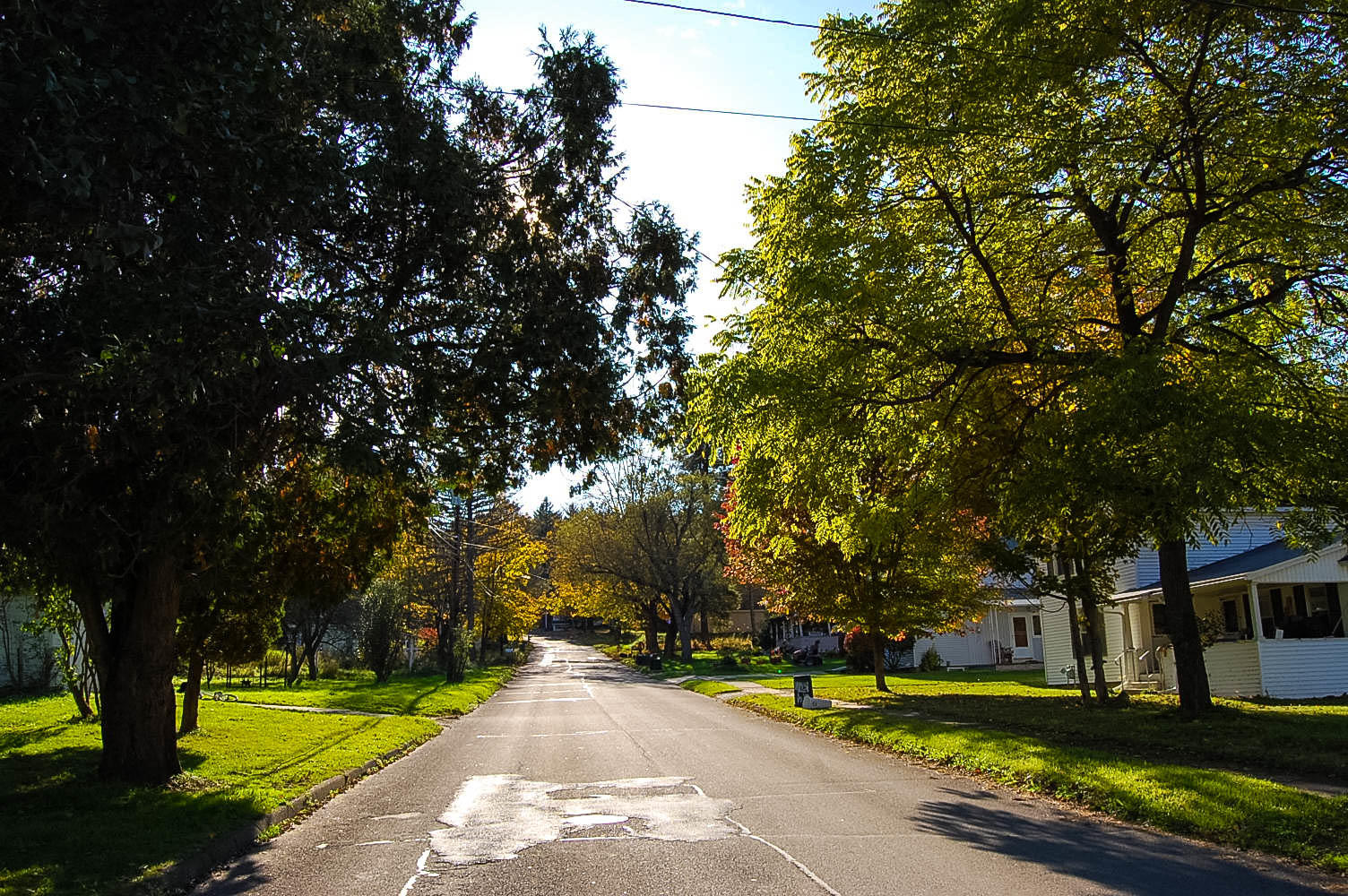 Discover the Beauty of Rural New York LandCentral