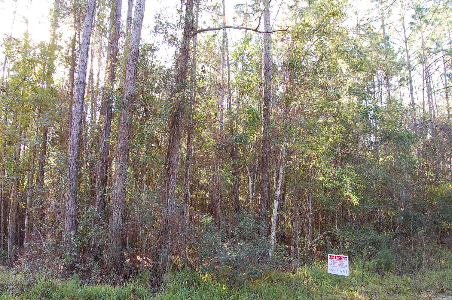 Palatka Huge Nearly Waterfront Acreage LandCentral