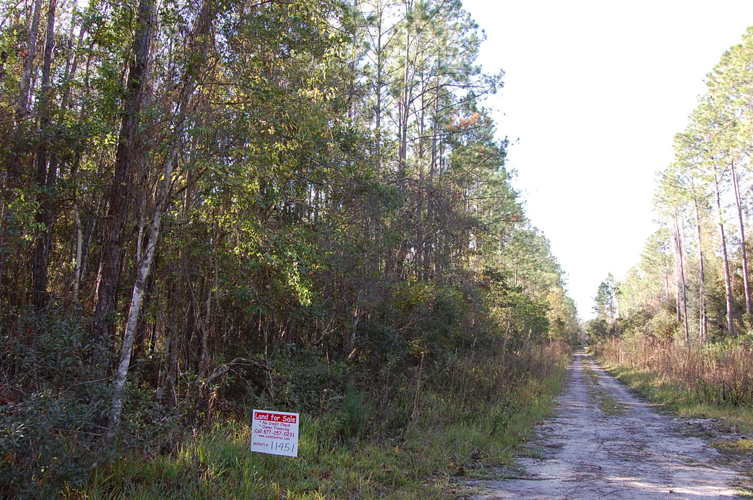 Palatka Huge Nearly Waterfront Acreage LandCentral