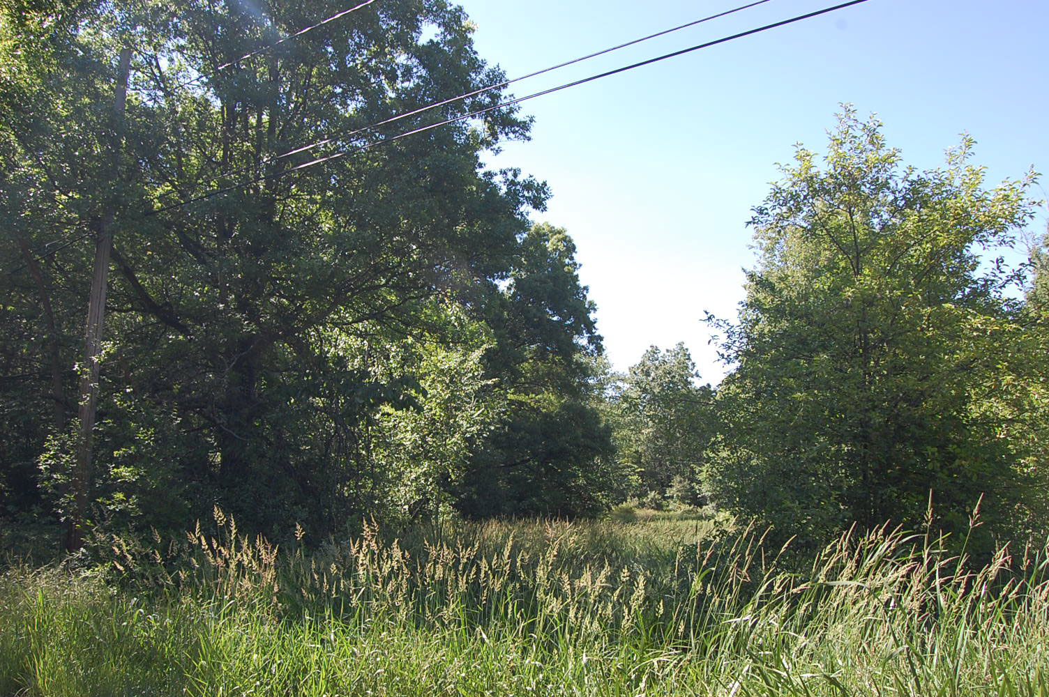 Lovely Ohio Lot Near Crystal Lake LandCentral