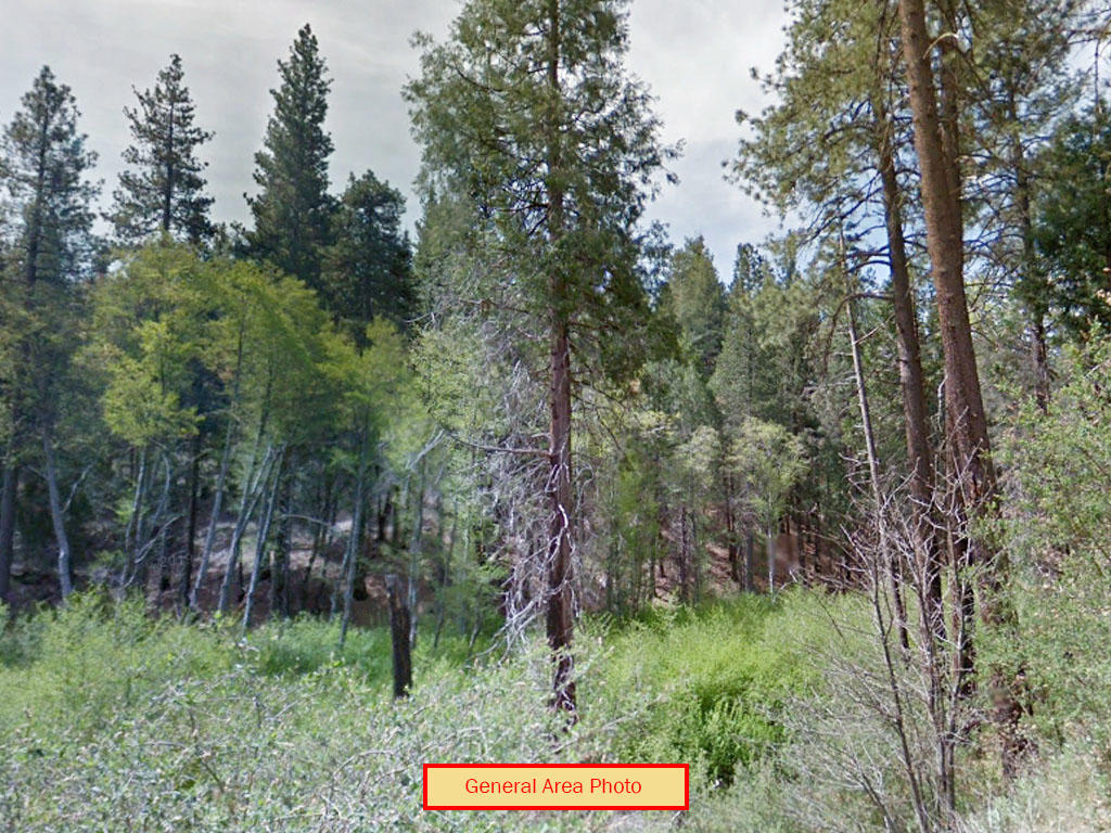 Unique Hillside Real Estate in Cedar Glen LandCentral