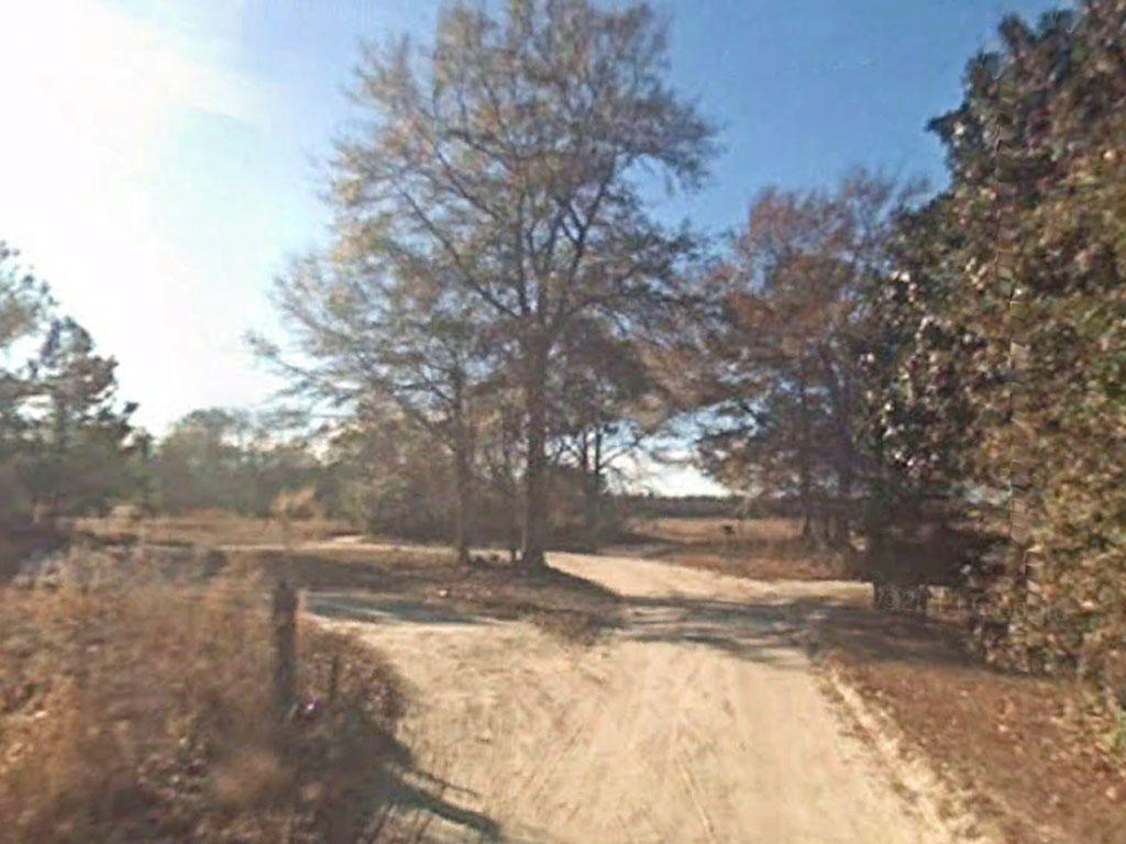 Agricultural Acreage Near Saint Stephen South Carolina LandCentral