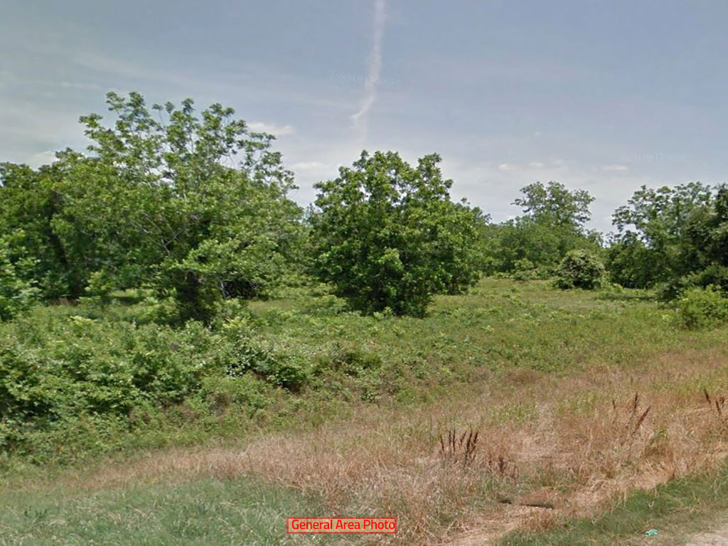 Heavily Wooded Lot South of Houston LandCentral