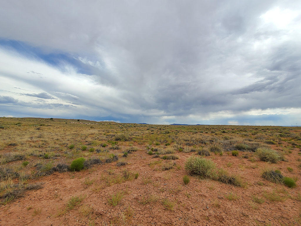 Explore the Possibilities on this 40 Acre Property | LandCentral