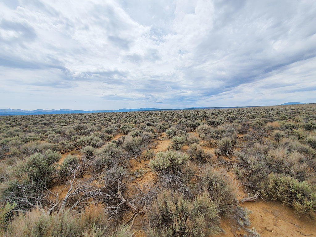 Charming Southern Colorado Lot in San Luis Valley - Image 3