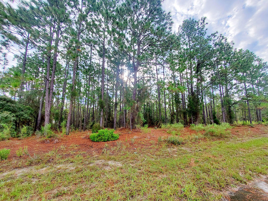 Beautiful Lot Near Rush Lake LandCentral