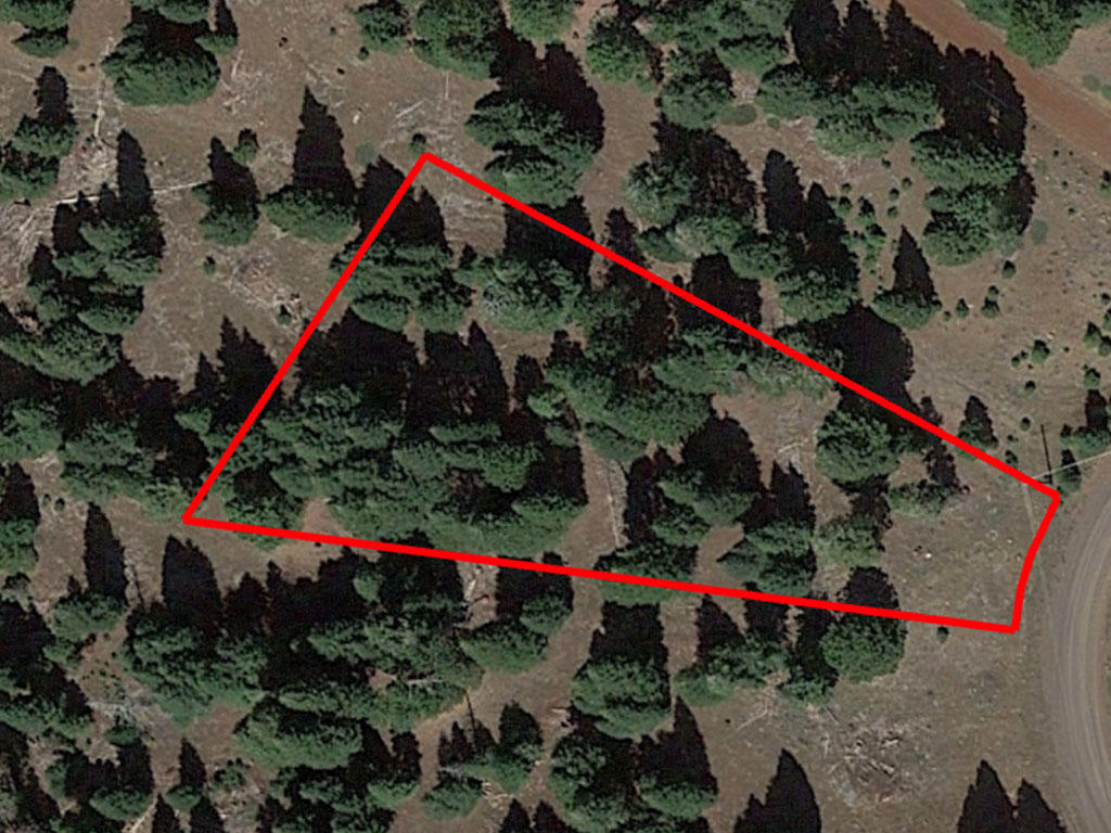 Roughly an Acre of Private Refuge - Image 1