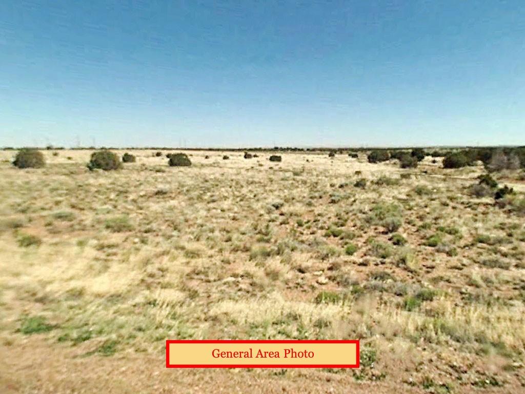 Snowflake Arizona New Future Homesite LandCentral