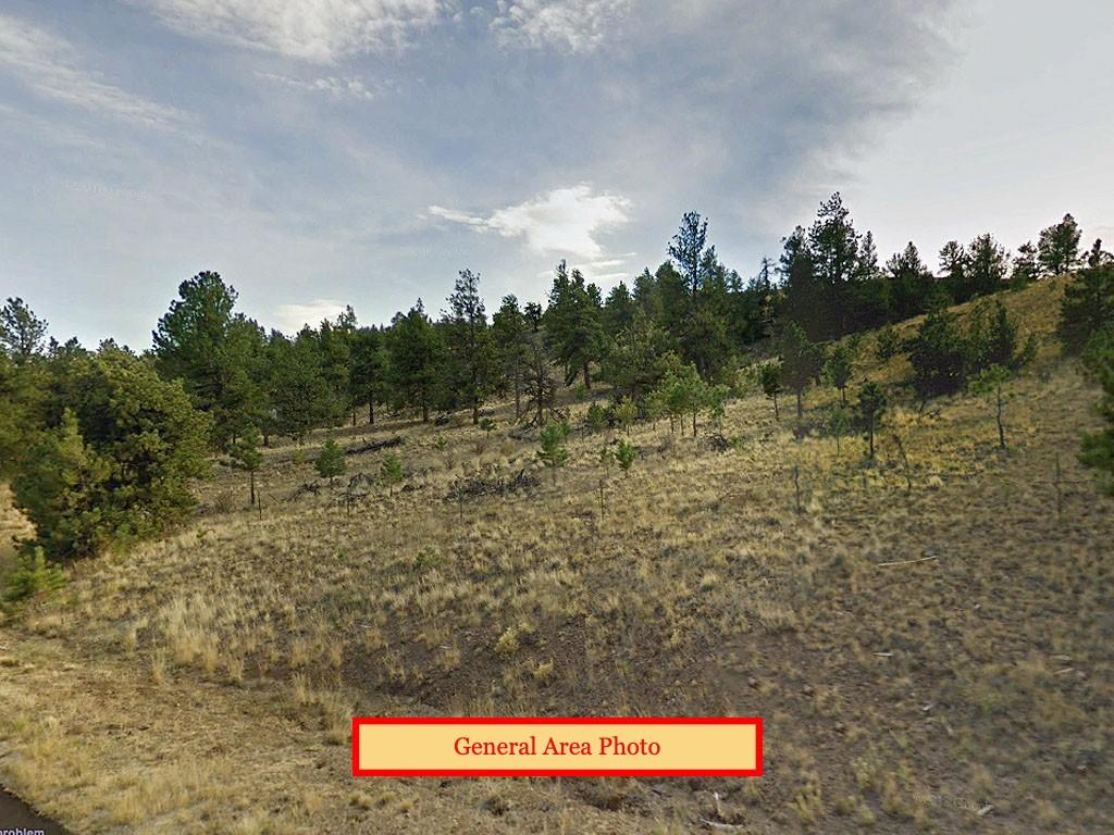 Fresh Air Escape on Five Acres in Colorado - Image 3