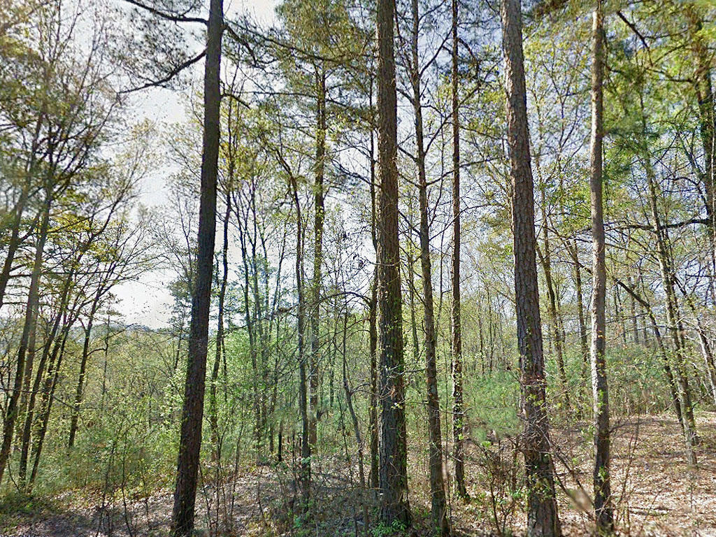 Acreage Close to Main Highway in North East Alabama - Image 3