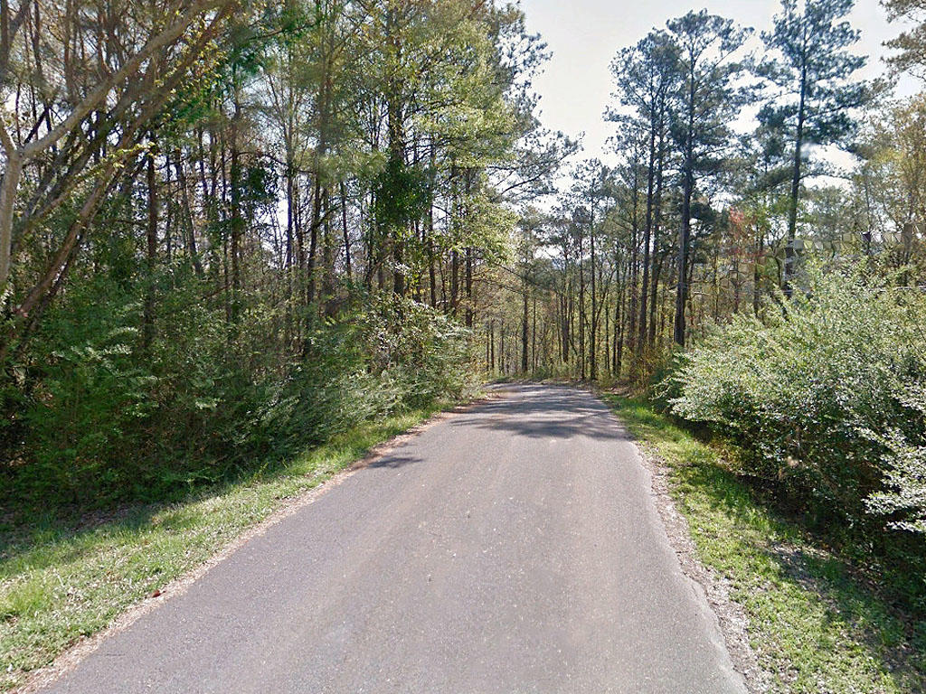 Acreage Close to Main Highway in North East Alabama - Image 4