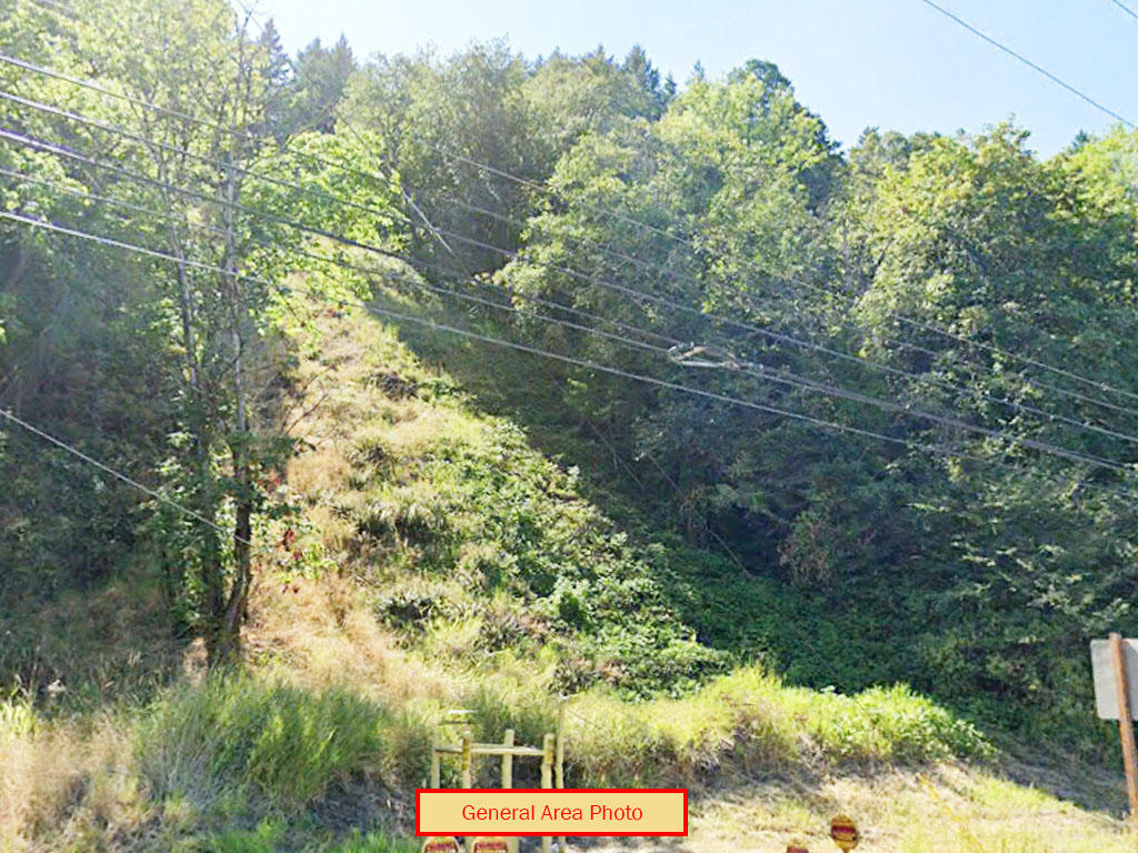 Amazing Opportunity in Pacific Northwest - Image 0