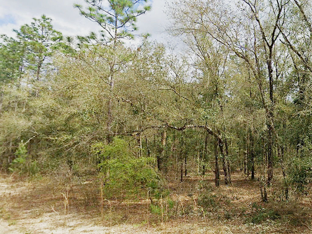 Over 1 Acre Lake Property LandCentral