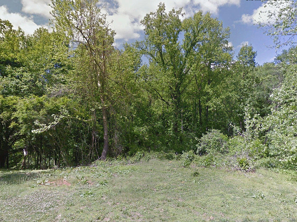 Over a Quarter Acre of North Carolina Property on Outskirts of Town - Image 3