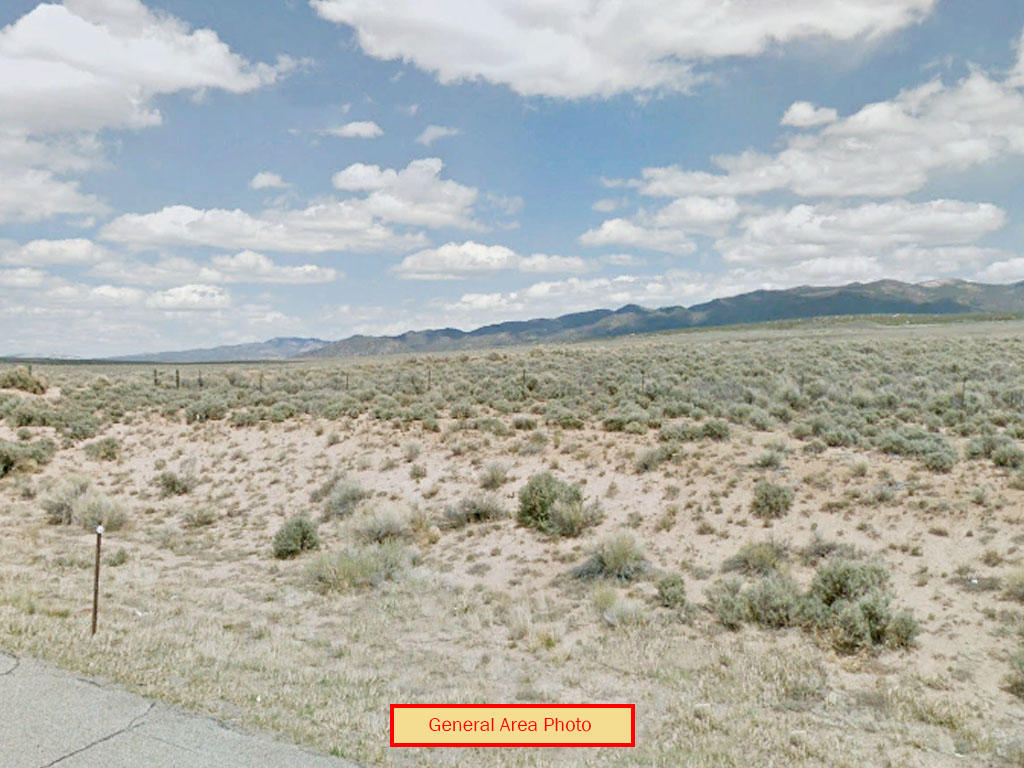 Almost 5 and a half acres of Freedom in Costilla County, Colorado - Image 3