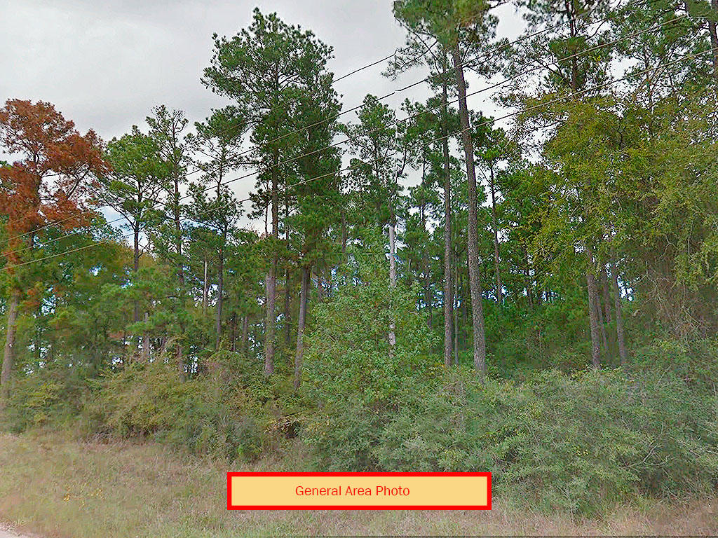 Two Lots Just Minutes from the Trinity River LandCentral