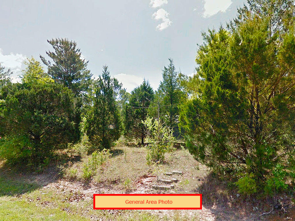One Third of an Acre in Defuniak Springs - Image 0