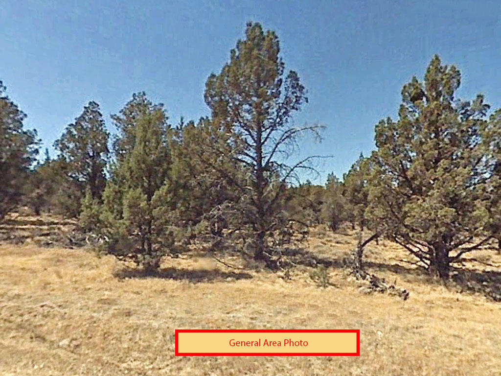 3 Acre Lot in Modoc County LandCentral