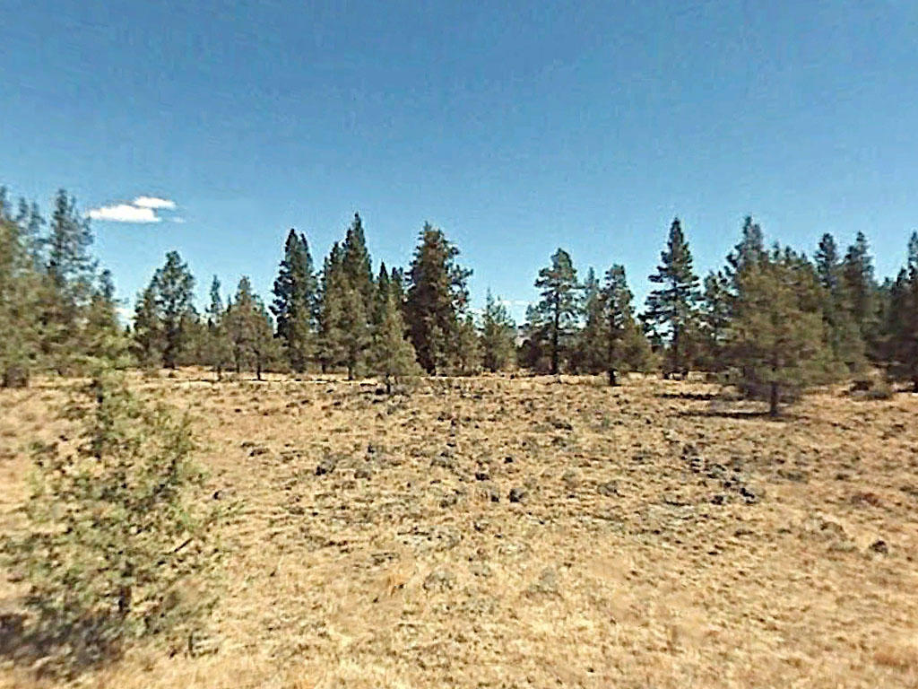 One Acre Lot in Beautiful Northern California - Image 3