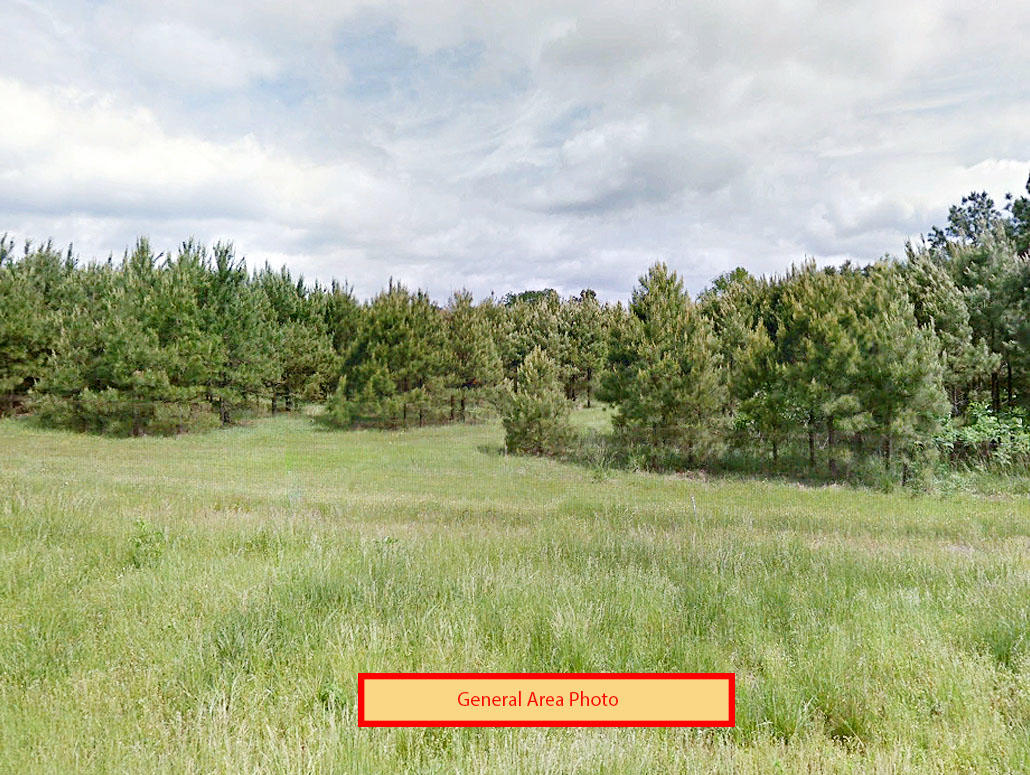 Central Arkansas Land is Great Value for Money LandCentral