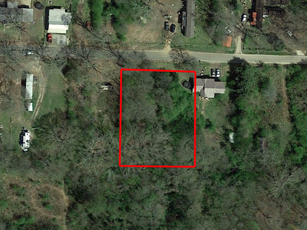 Alabama Treed Lot with Greenspace Behind - Image 1