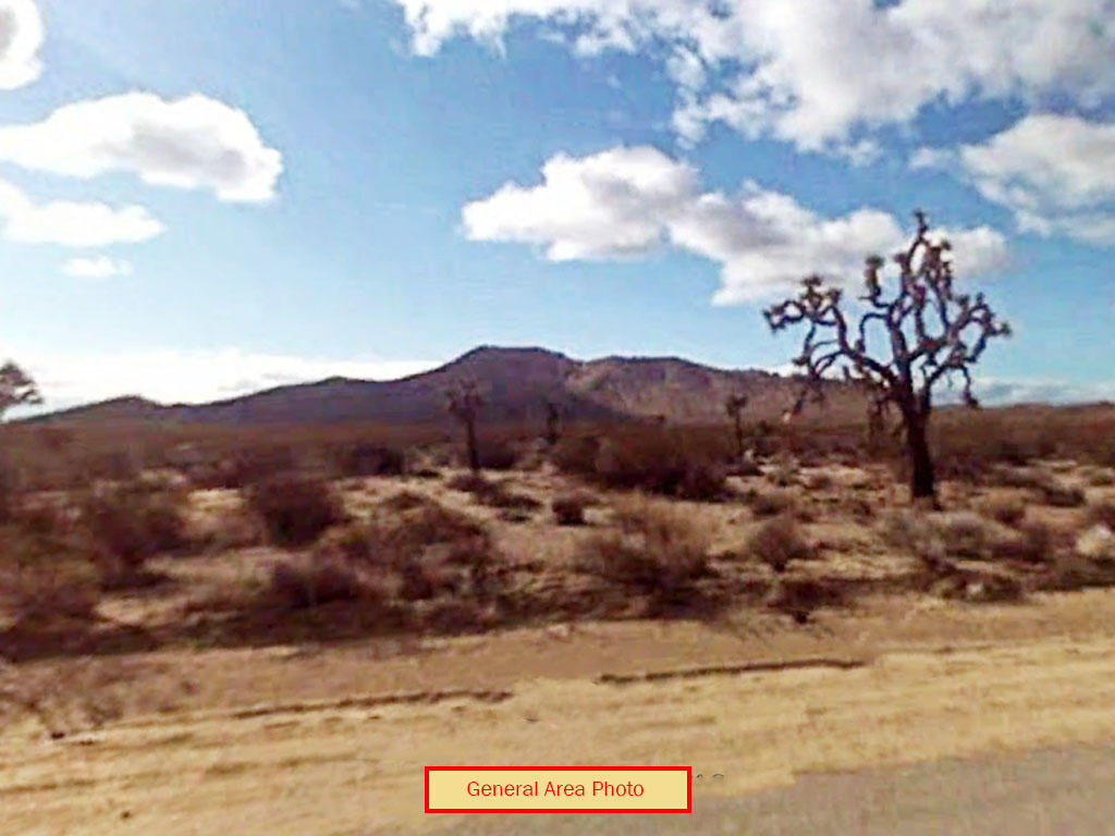 Two and a quarter acres North of Lancaster California - Image 3
