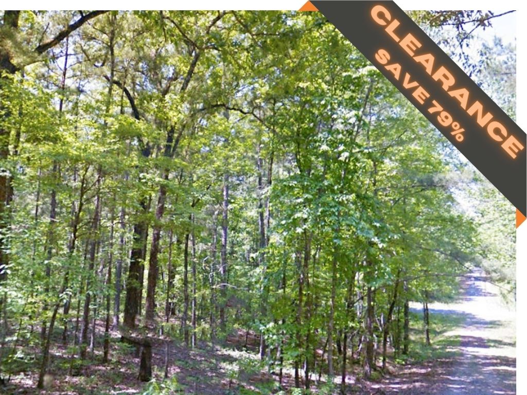 Just under a Half acre near the Southern Appalachian Mountains