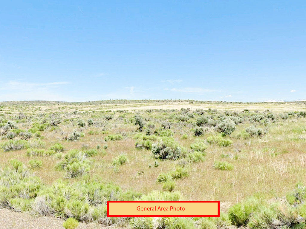 Over 1 Acre Outside Of Elko - Image 0