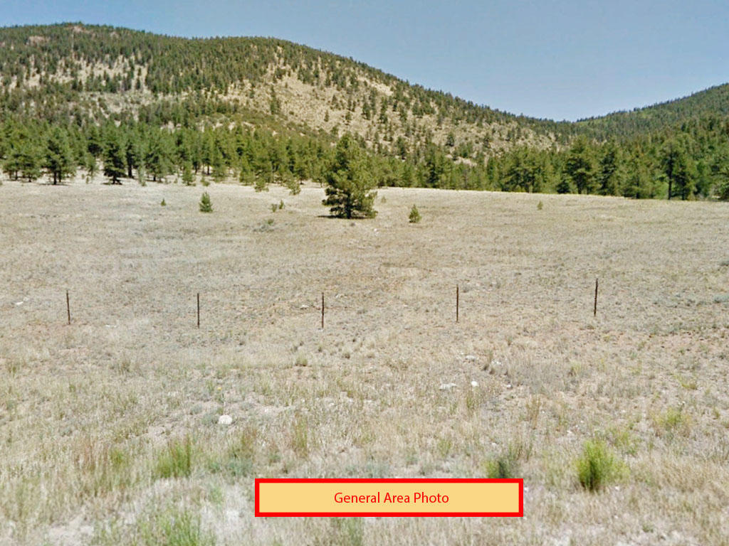 Five acres in heart of Colorado - Image 3