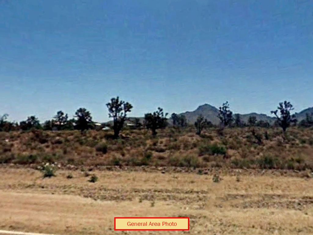 Stunning 1 Acre of Rich Desert Land LandCentral