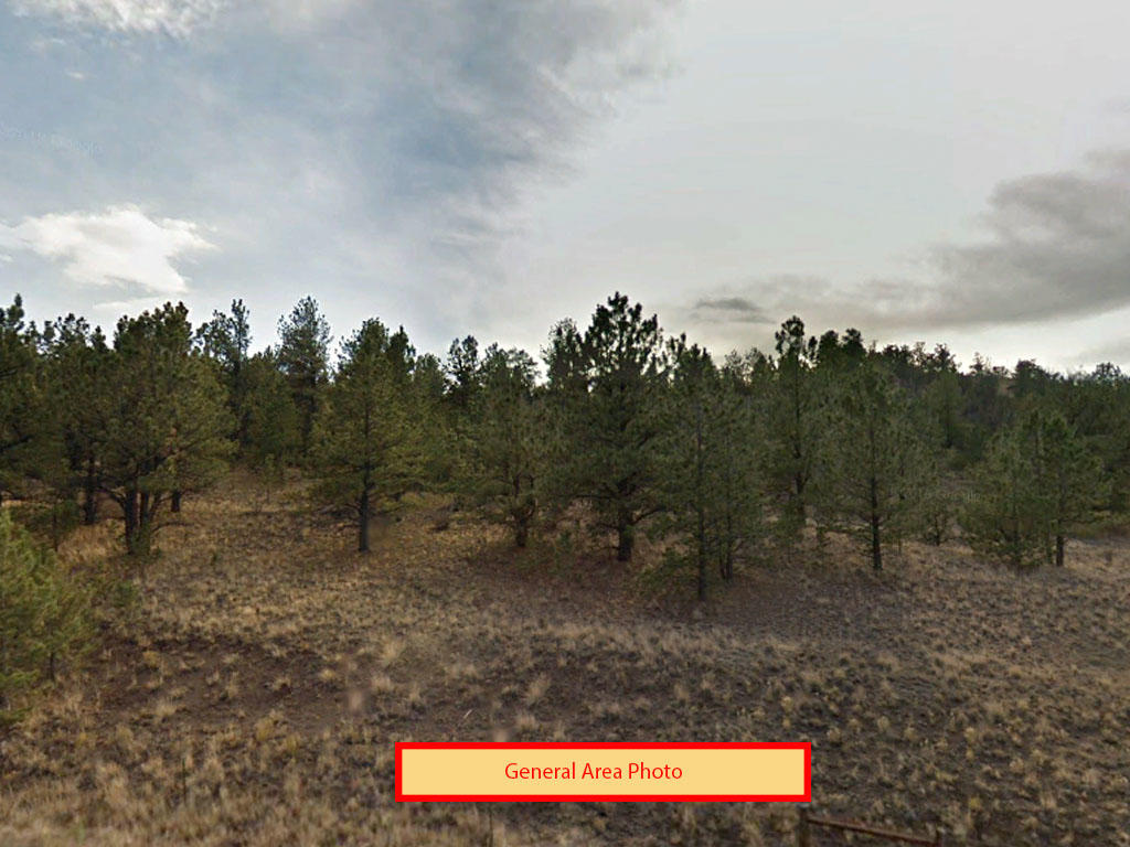 5-Acre Colorado Personal Oasis - Image 0