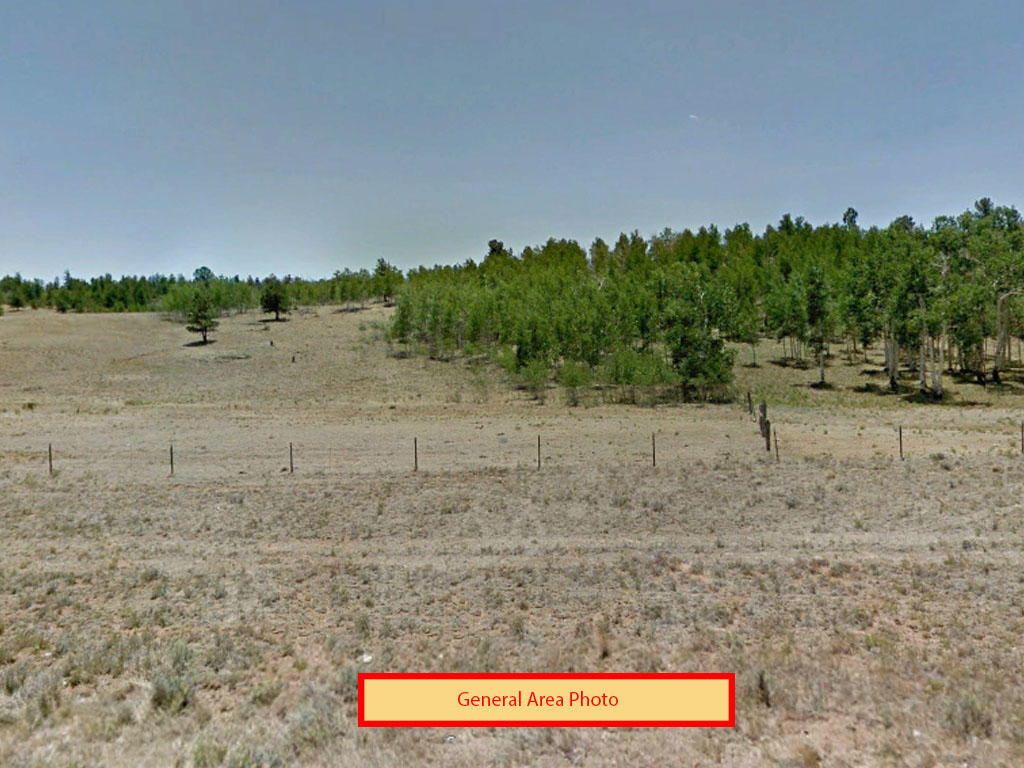 Beautiful Mountain views in Colorado - Image 0