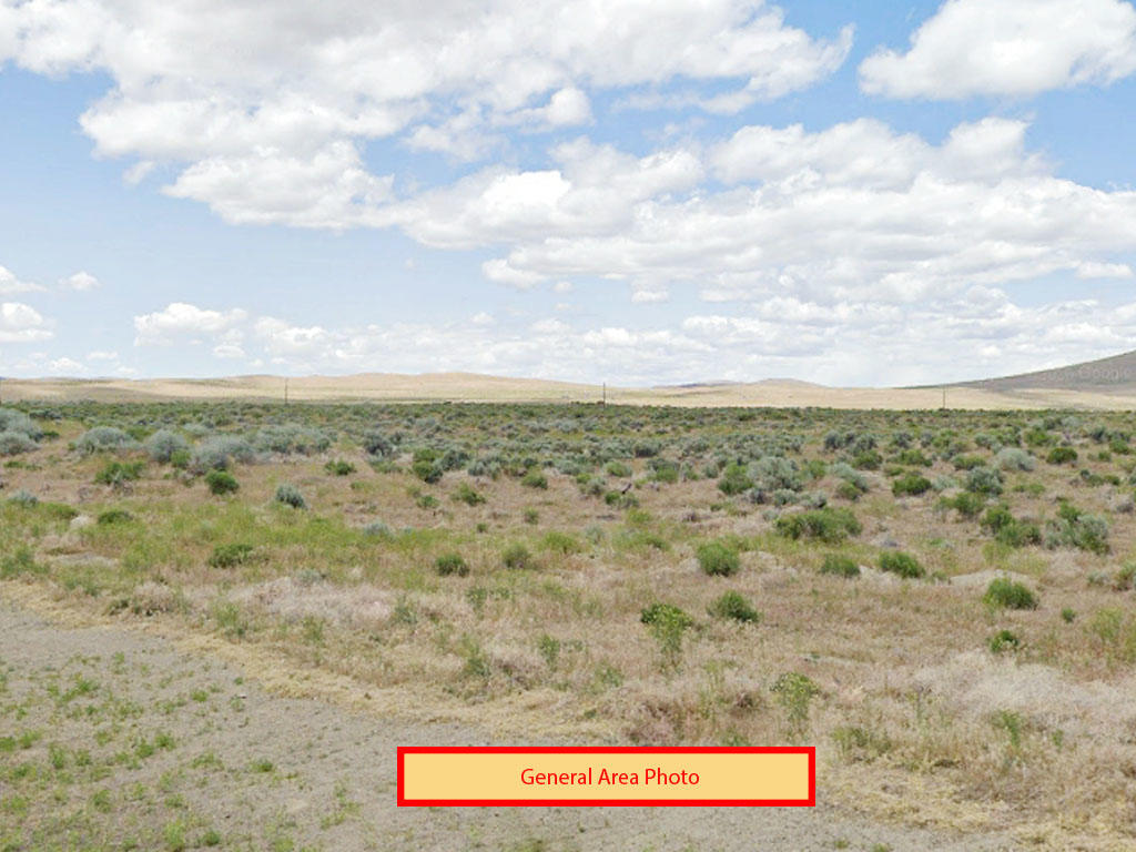Incredible 40 Acres in Northern Nevada - Image 3