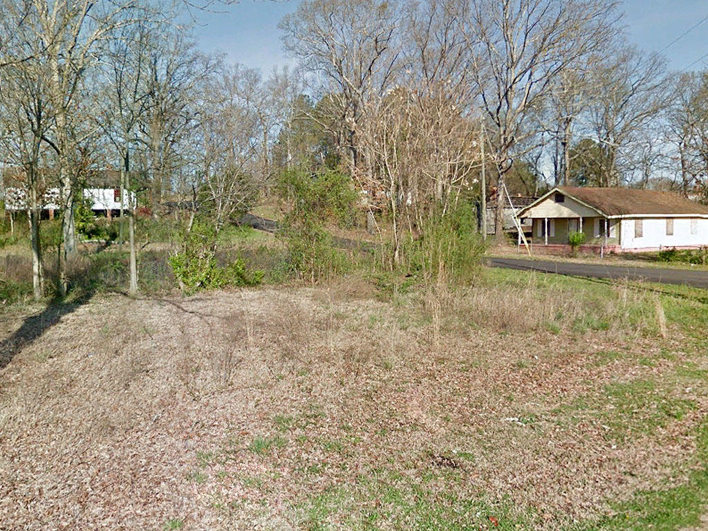 Almost 5000 square foot lot an hour from Birmingham - Image 3