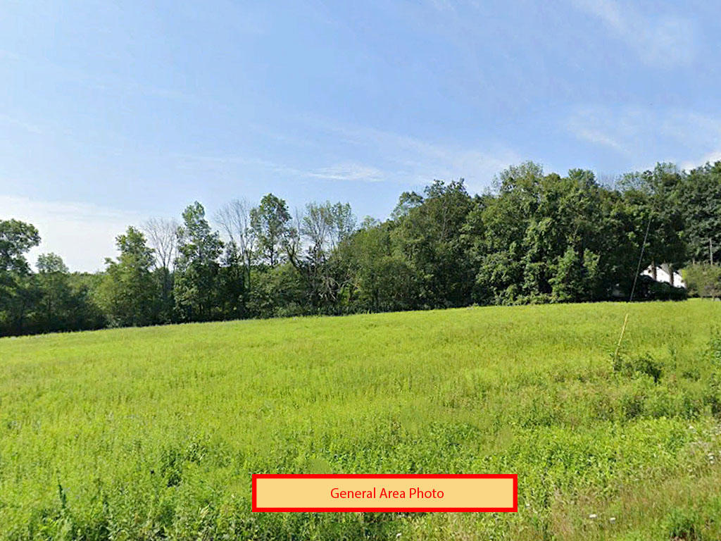 Wooded flat lot in beautiful Hickory Hills in the Pocono Mountains - Image 3