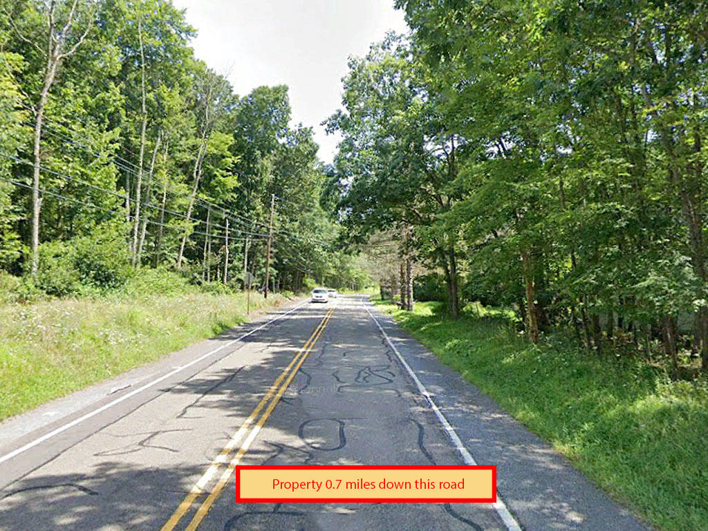 Wooded flat lot in beautiful Hickory Hills in the Pocono Mountains - Image 4