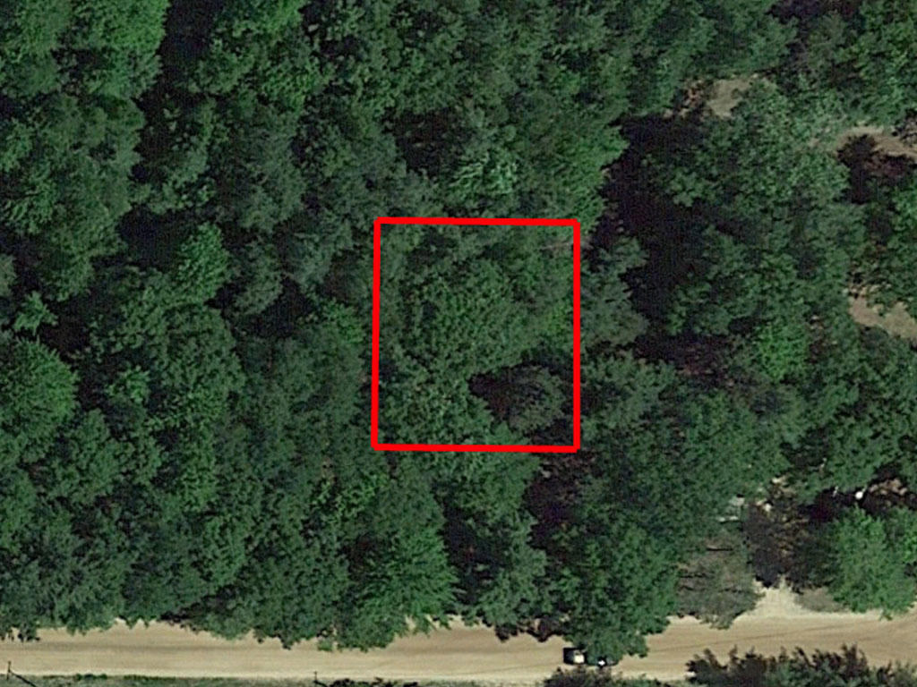 Beautifully wooded lot just outside of the lovely Beaverton, Michigan - Image 1
