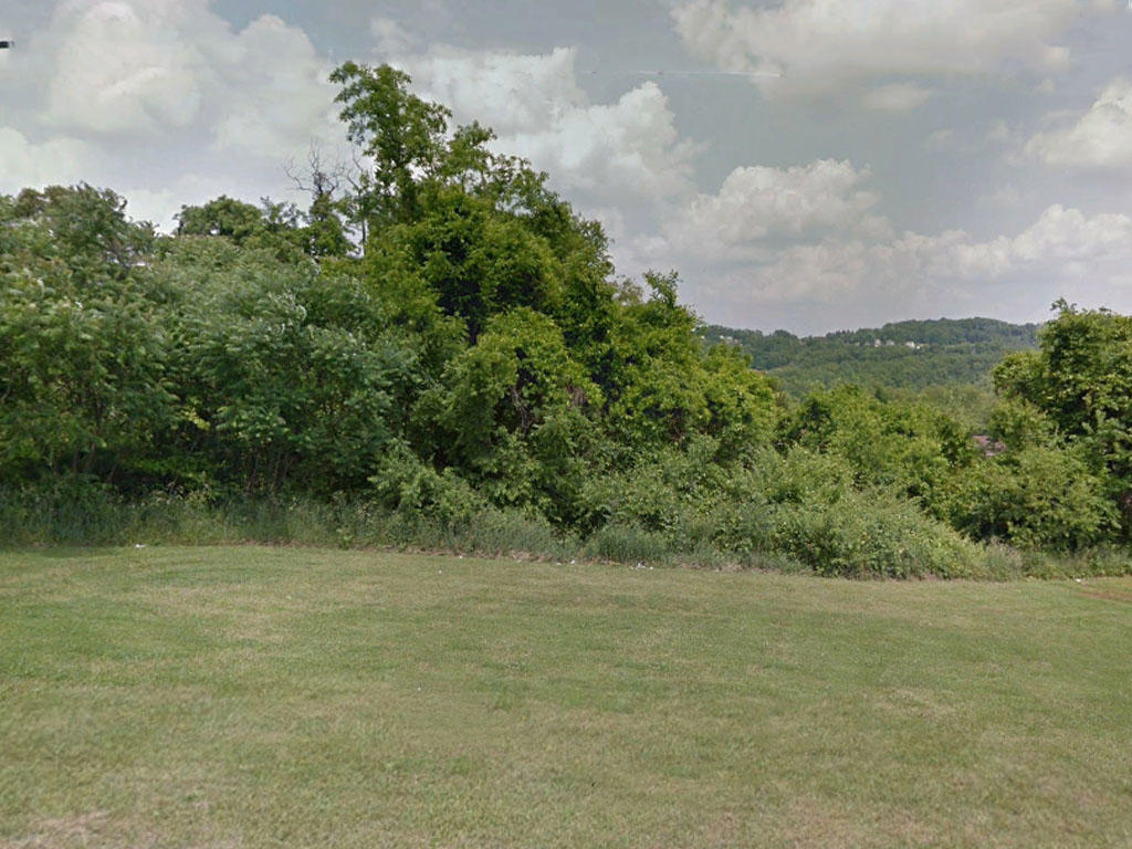 Residential Lot in Brownsville Near Monongahela River - Image 3