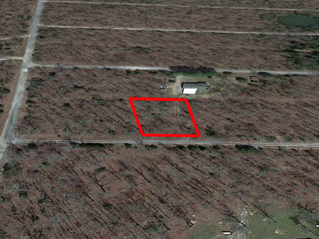 A Third of an Acre Treed Lot in Horseshoe Bend - Image 2