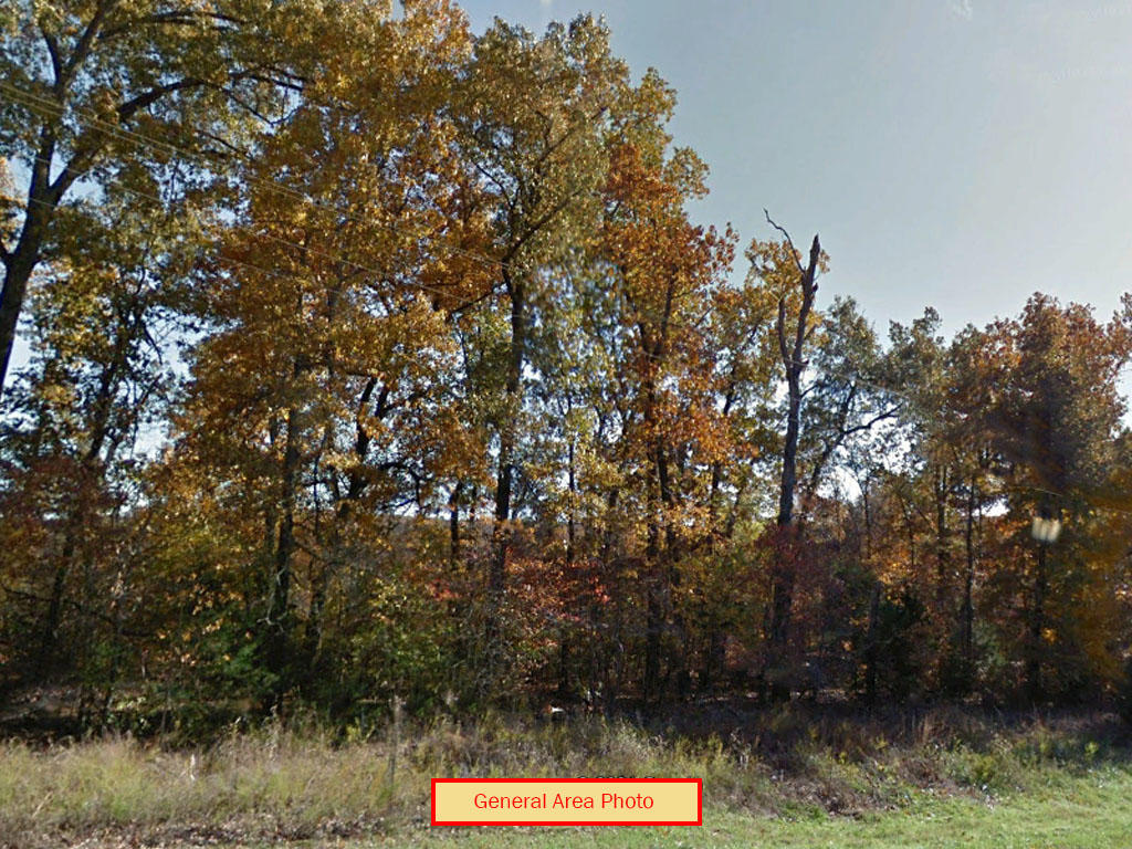 A Third of an Acre Treed Lot in Horseshoe Bend - Image 3