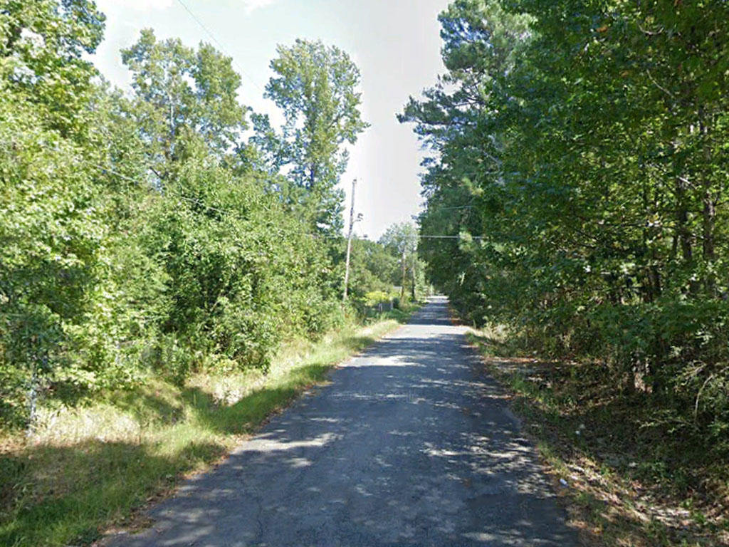 Great lot in the well established town of Pine Bluff - Image 4