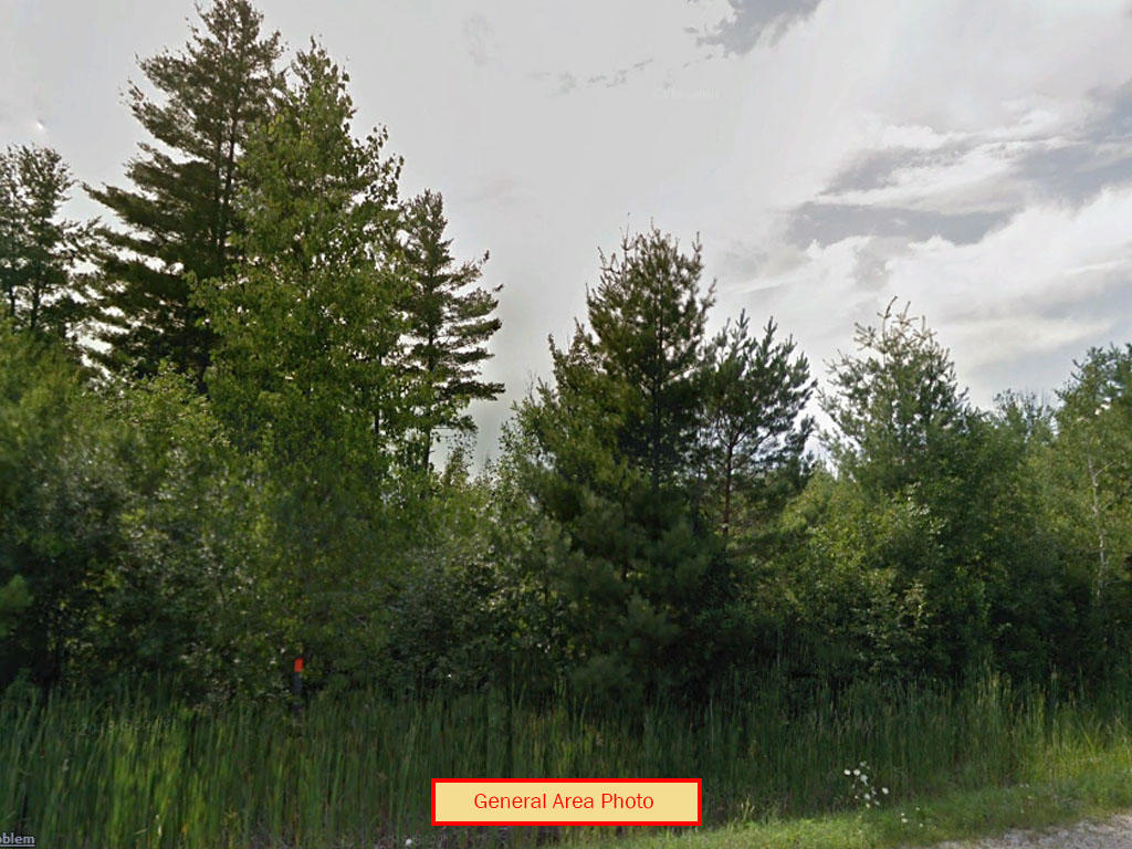 Beautifully wooded lot just outside of the lovely Beaverton, Michigan - Image 3