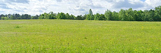 Great lot in a small, quiet subdivision of the lovely Lancaster, SC