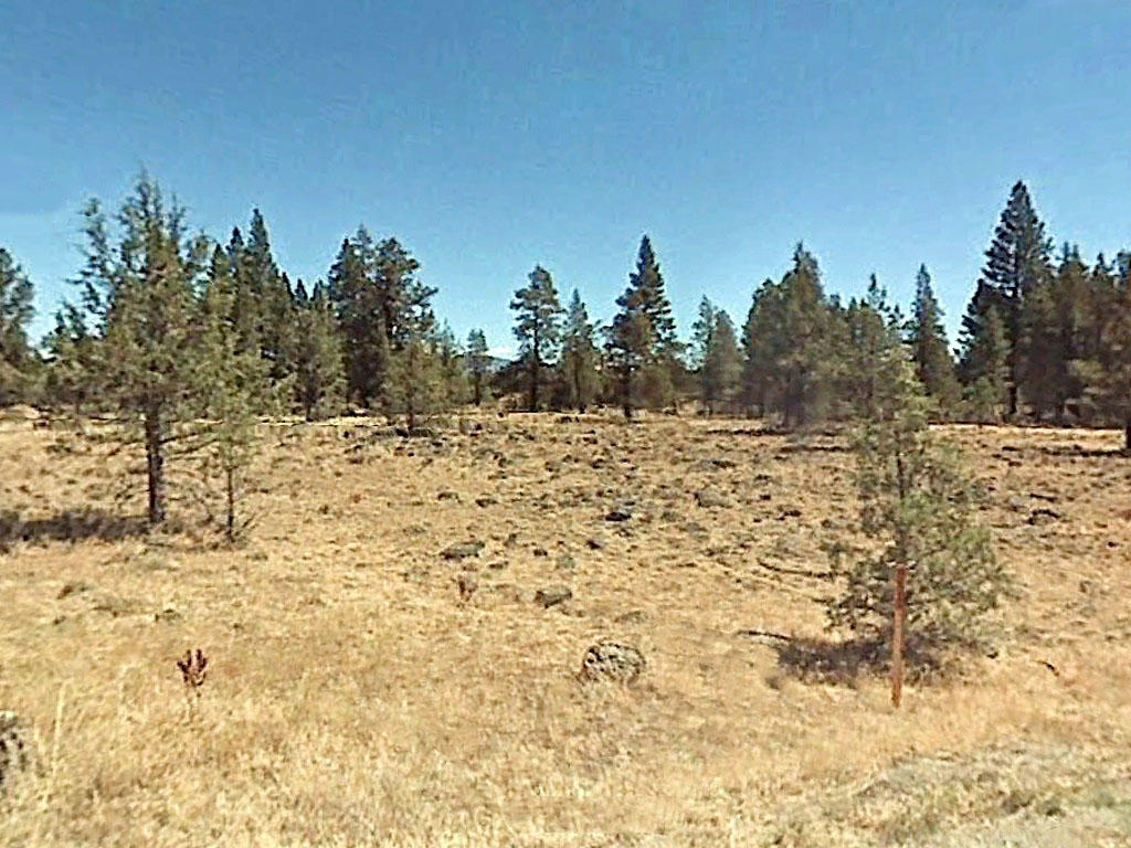 One Acre Lot in Beautiful Northern California - Image 0