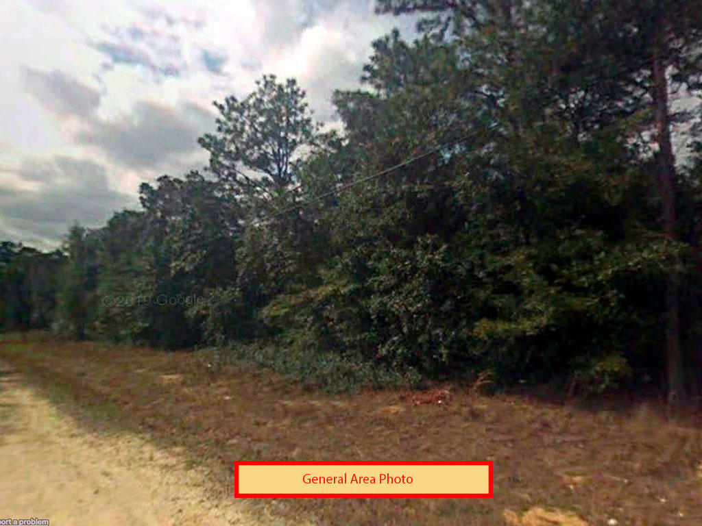 Treed Inverness Lot with Dirt Road Access - Image 0