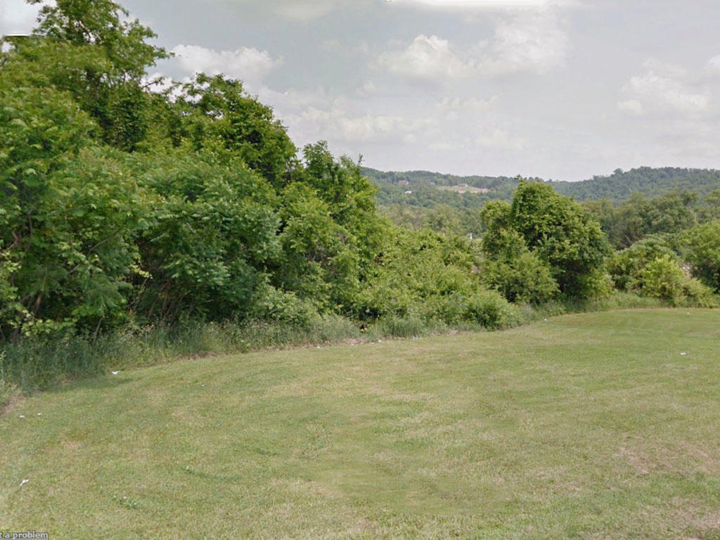 Residential Lot in Brownsville Near Monongahela River - Image 0